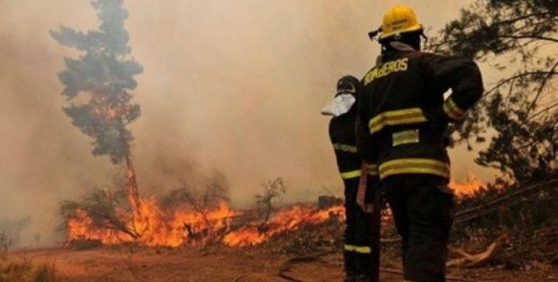 Chilean authorities confirmed that five forest fires are active in the Araucania region.  (Photo: Agencia UNO)