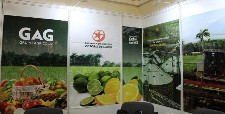 Cuba estrena este domingo su presencia con un exposición nacional en la feria Prodexpo-2020. Foto: Prensa Latina