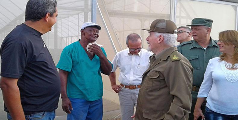 Antes de la sesión de trabajo, el Comandante de la Revolución visitó la primera de una treintena de fincas forestales y el vivero de cítricos.Foto:Roberto Díaz.