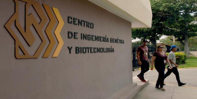 En esta institución también se labora en el incremento de semillas de calidad competitiva. Foto: periódico Granma